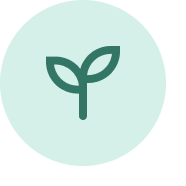 Ingredientes que sí importan