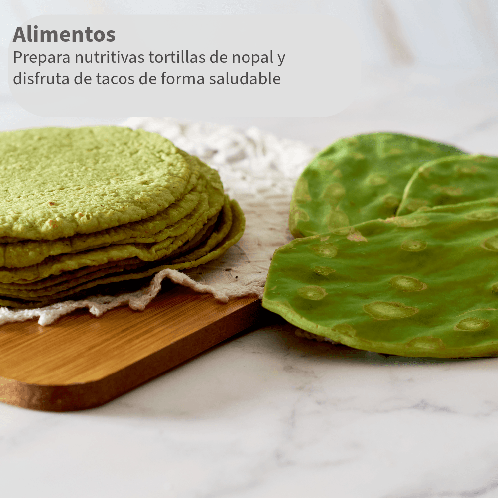 tortillas hechas con polvo de nopal
